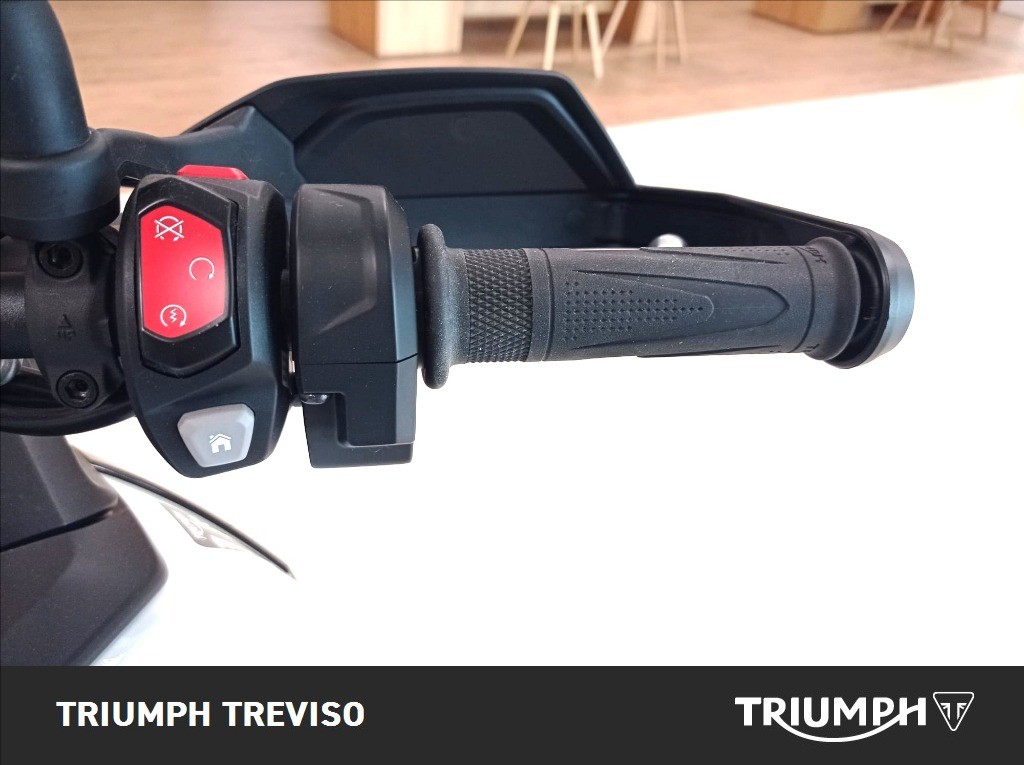 TRIUMPH Tiger 900 Alpine Edition