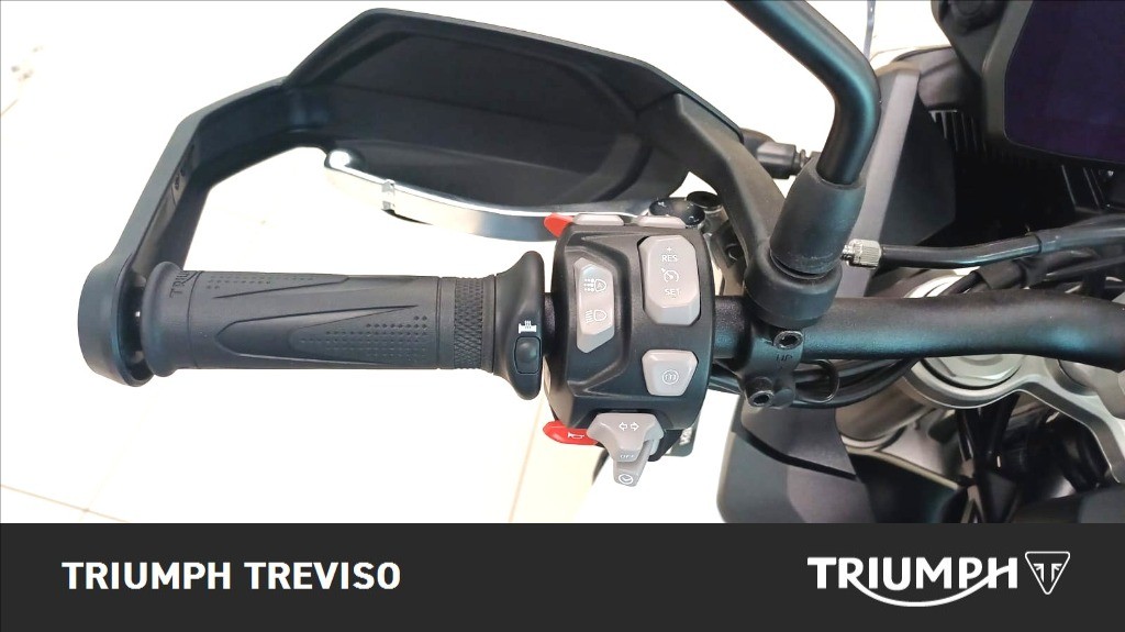 TRIUMPH Tiger 900 Alpine Edition
