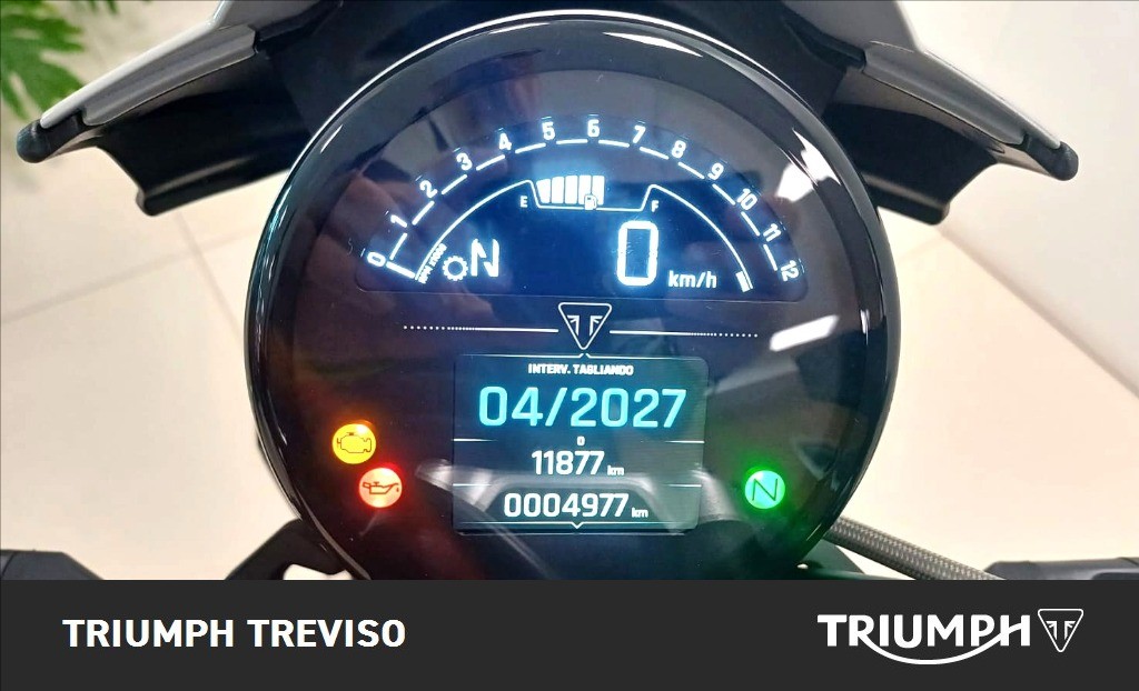 TRIUMPH Trident 800 Ash Grey Abs